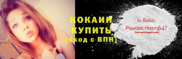 СК Волосово
