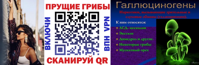 Галлюциногенные грибы ЛСД KRAKEN ссылки Каменск-Шахтинский